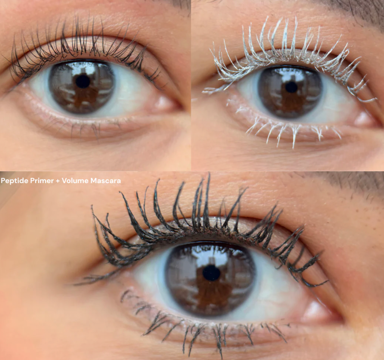 Revive7 Peptide Primer pour Cils