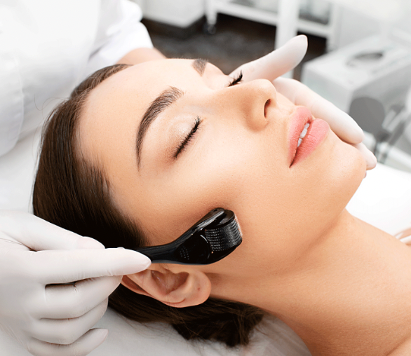 Meifren Derma Roller Micro Needle