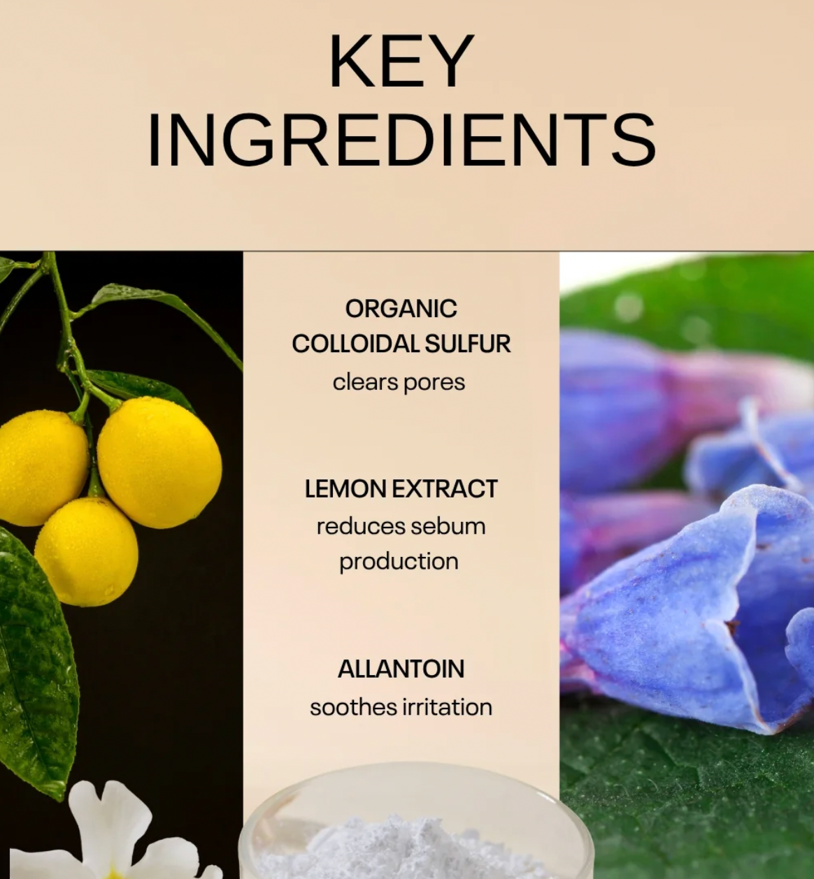 Tuel Clear It Blemish Gel - Organic colloidal sulfur - Allantoin