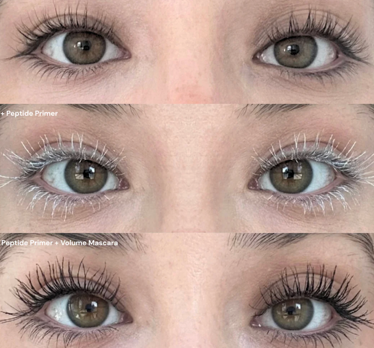 Revive7 Peptide  Primer pour Cils