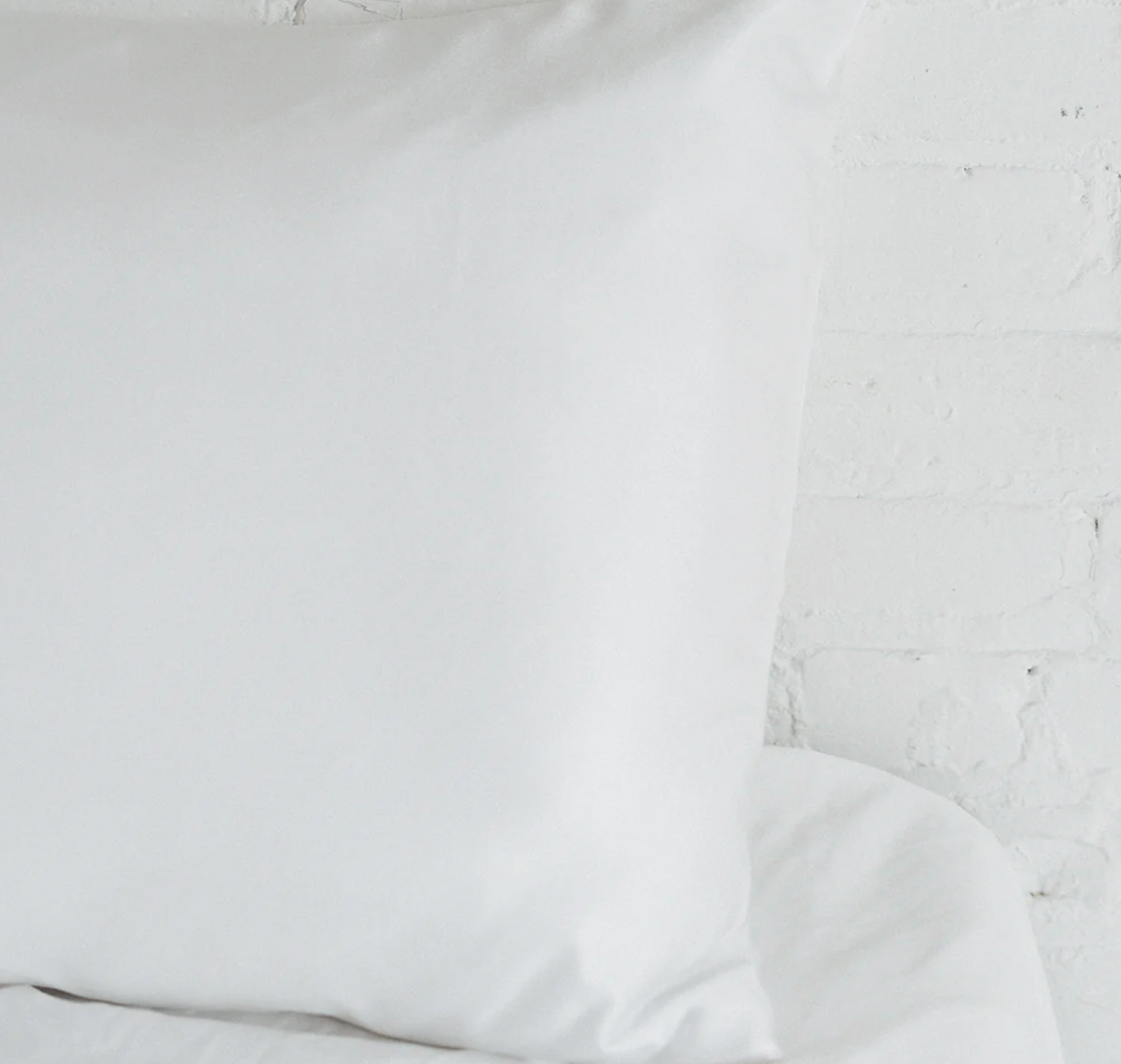 Revive7 Silk Pillowcase